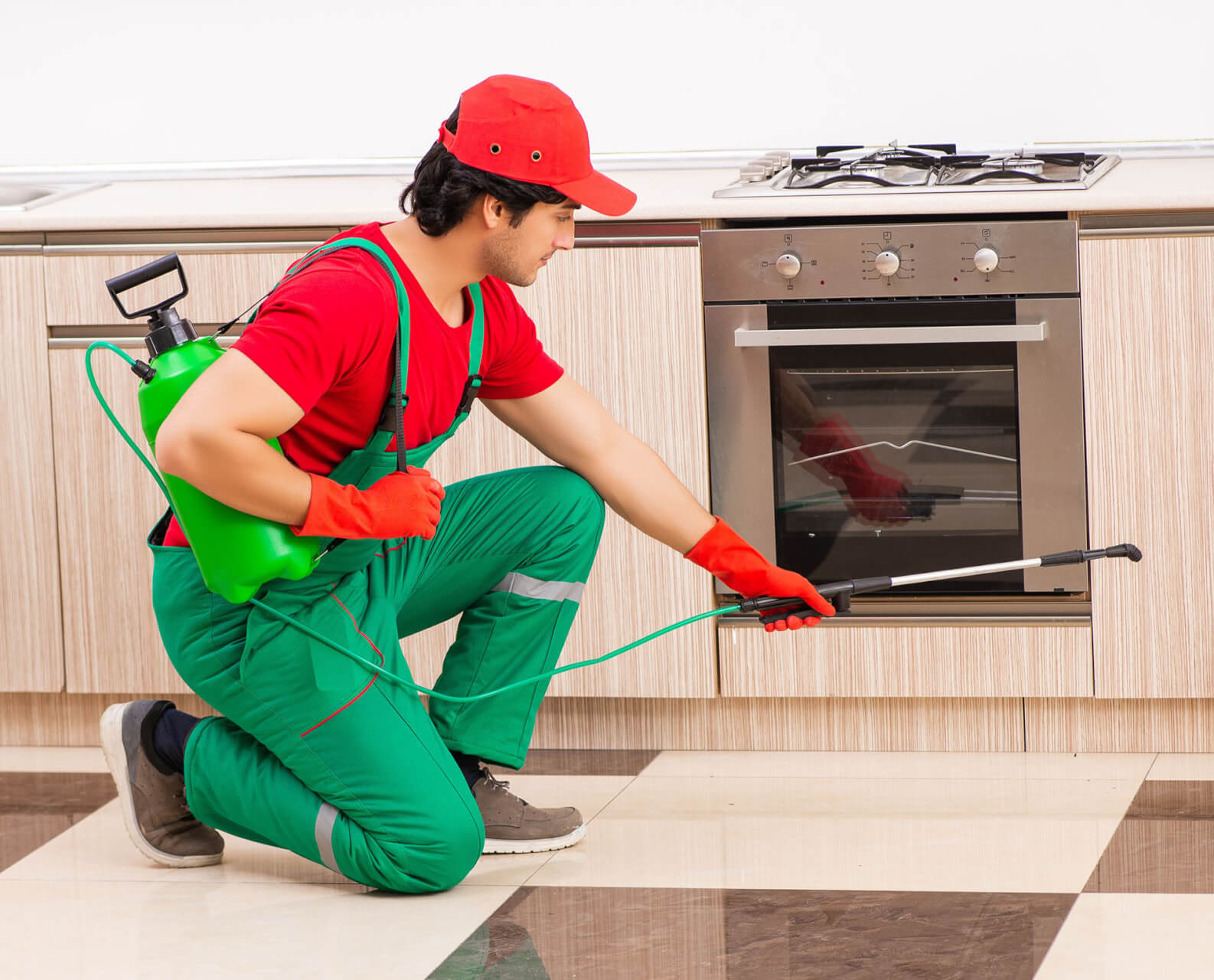 Pest Control Lewisville pest control services in Lewisville Denton or nearby cities in Denton County GA 108