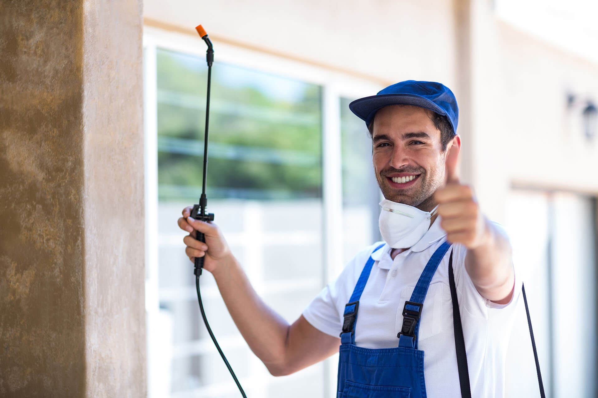 Pest Control Lewisville pest control services in Lewisville Denton or nearby cities in Denton County GA 109
